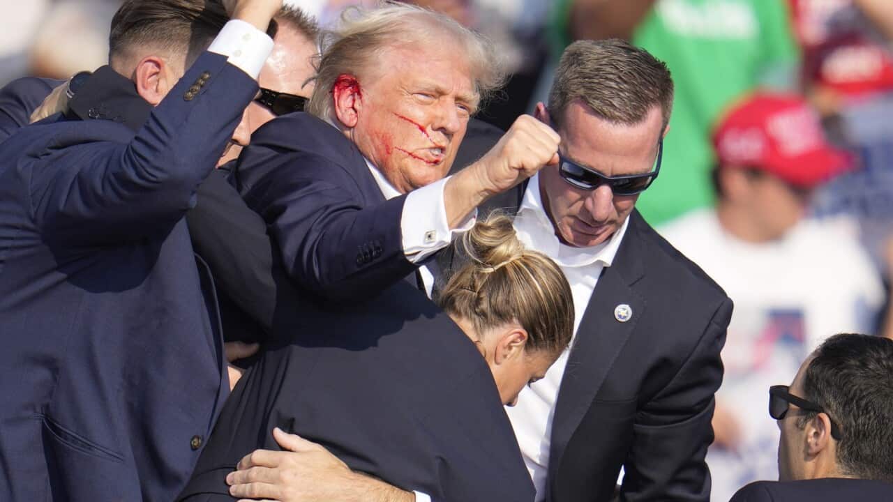 Election 2024 Trump