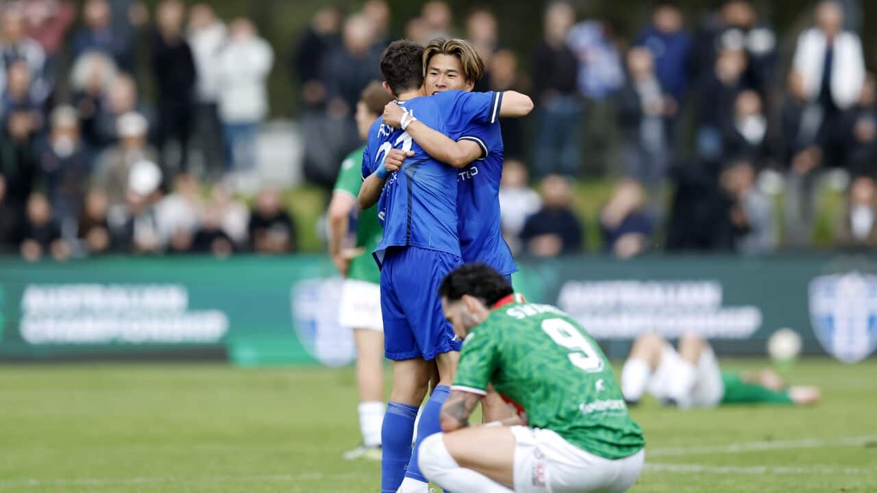 Yuki Uchida played a key role in South Melbourne's inaugural Australian Championship win | SBS Japanese Yuki Uchida played a key role in South Melbourne's inaugural Australian Championship win | SBS Japanese