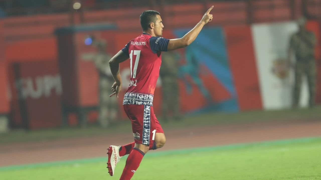 Tim Cahill