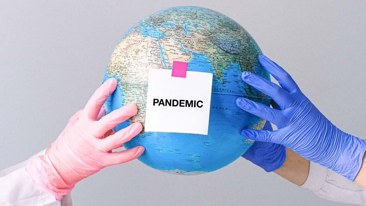 pandemic
