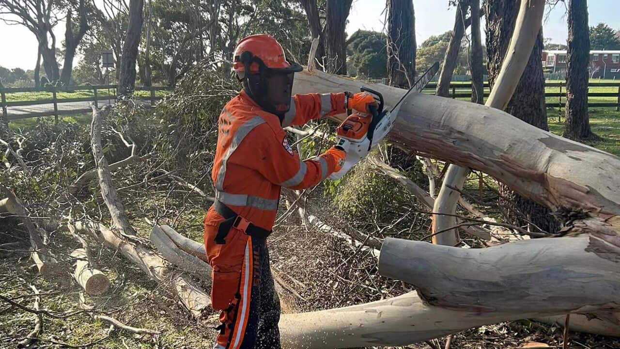 Image for read more article ''