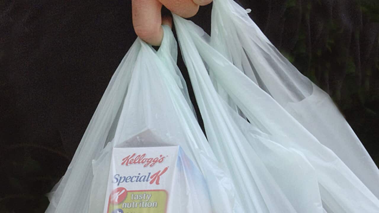 A shopper carries groceries in a plastic bag