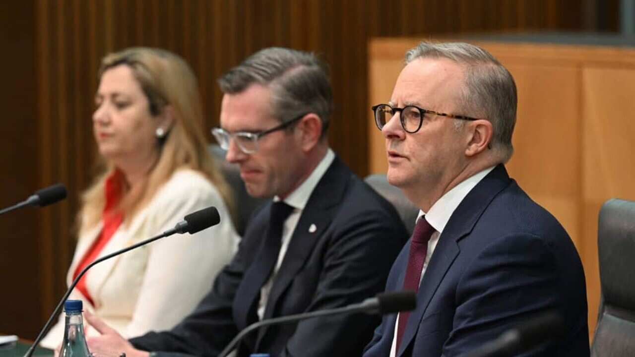 Prime Minister Anthony Albanese (right).jpg