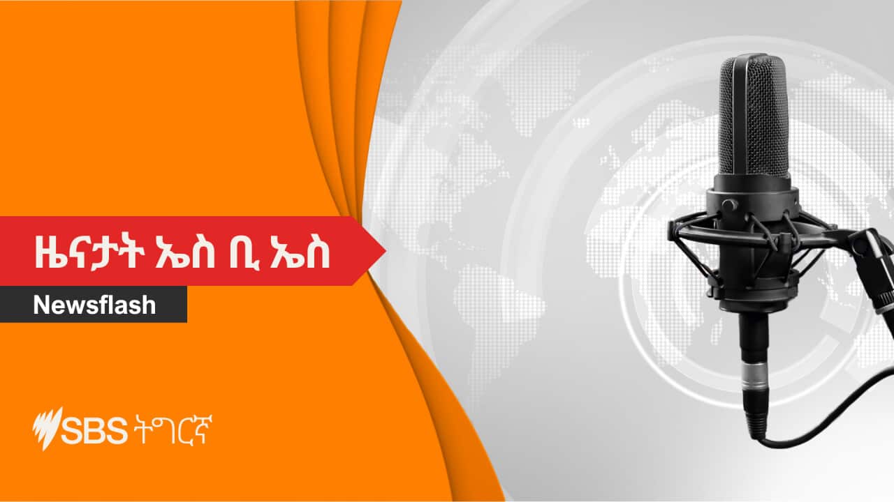 SBS Tigrinya Newsflash