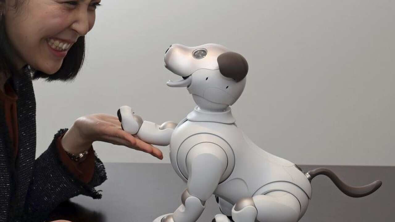 The new Aibo robotic dog