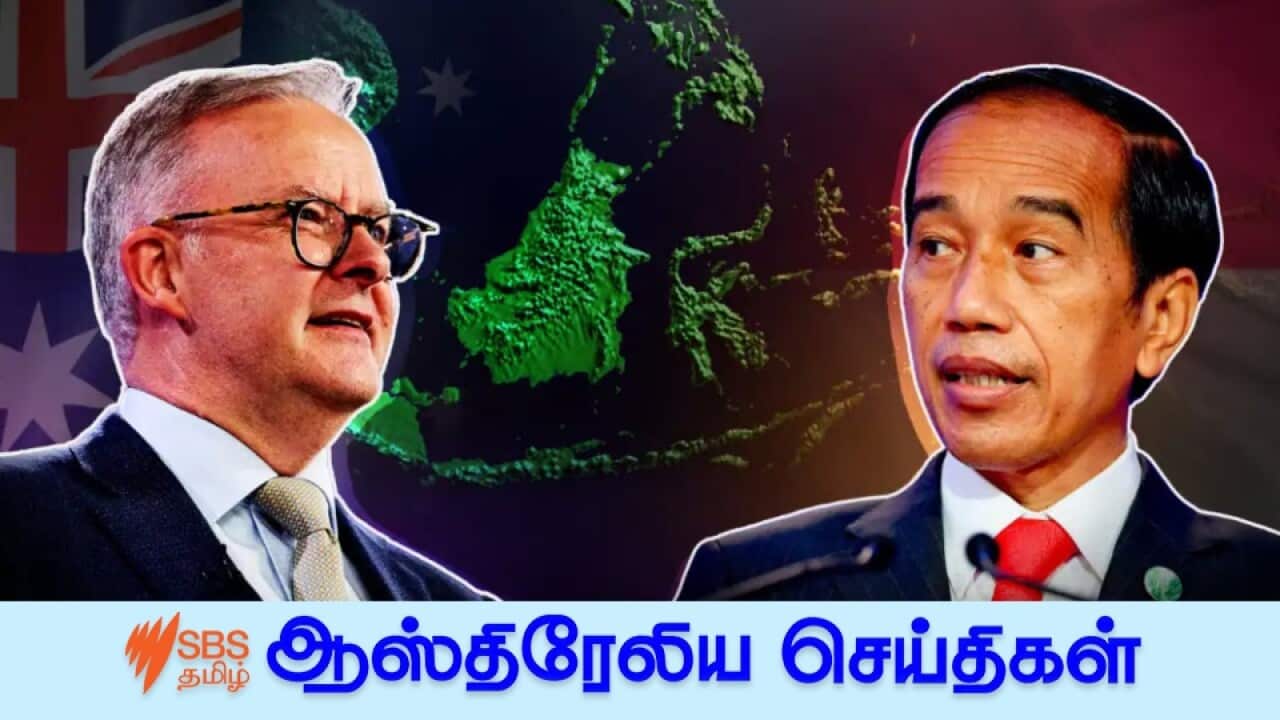 Albanese and Widodo