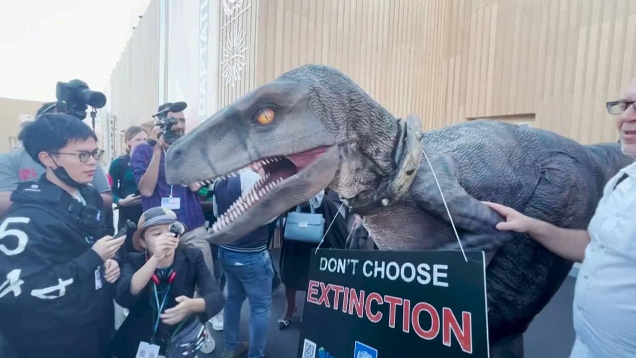 Frankie the Dinosaur warns of climate extinction at COP27
