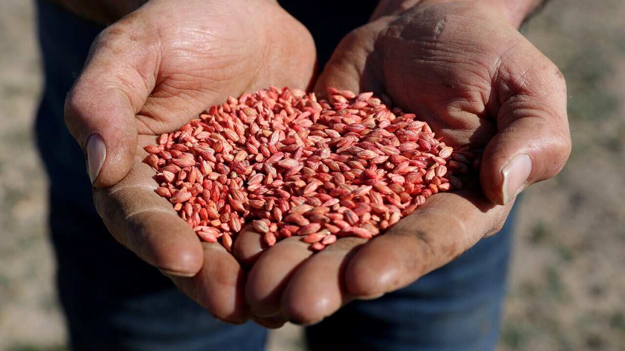 BARLEY EXPORTS CHINA TARIFFS