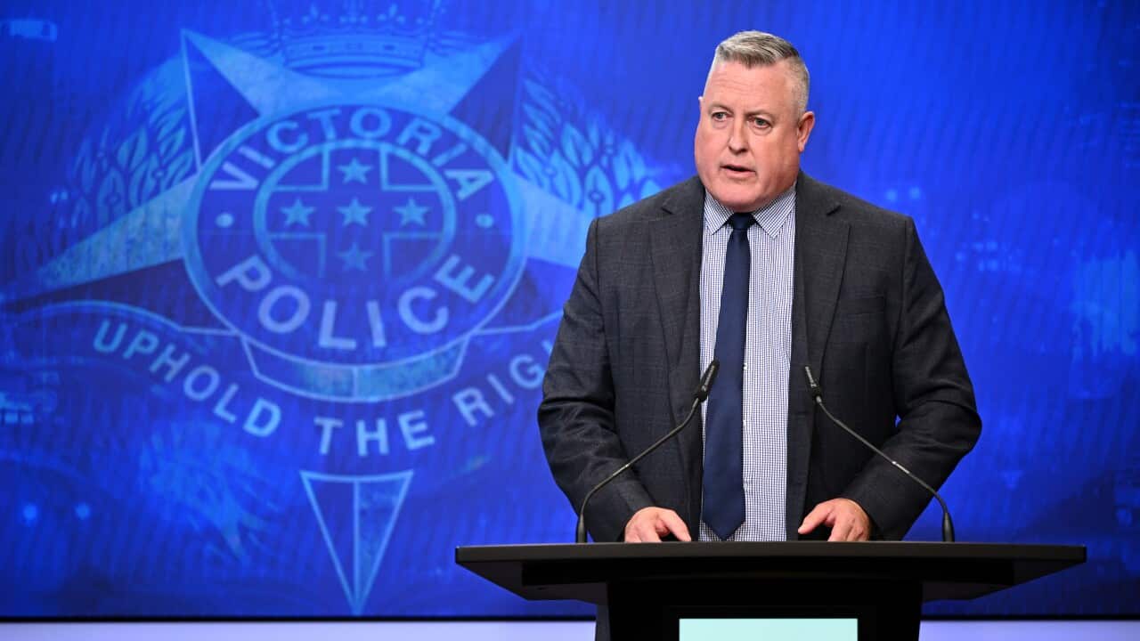 This picture taken on July 15, 2023 shows volunteer firefighters controlling a hazard reduction burn in north Sydney.