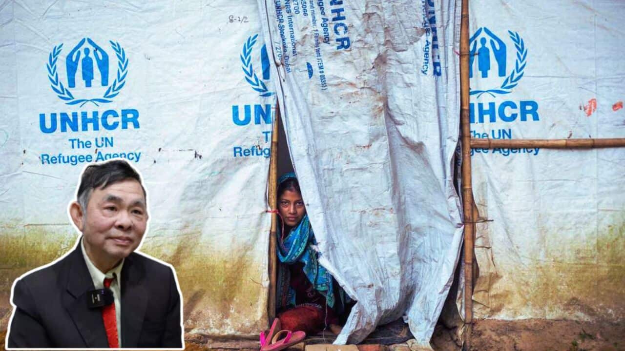 75a2612b-d0e3-4b30-b6dc-f020bdf6ac2c.mp4 (2).jpg