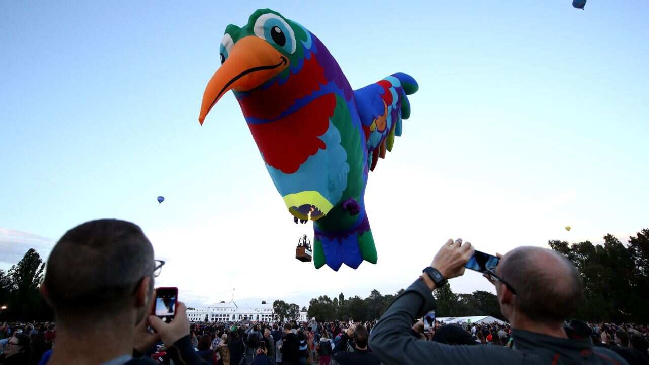hot air balloon