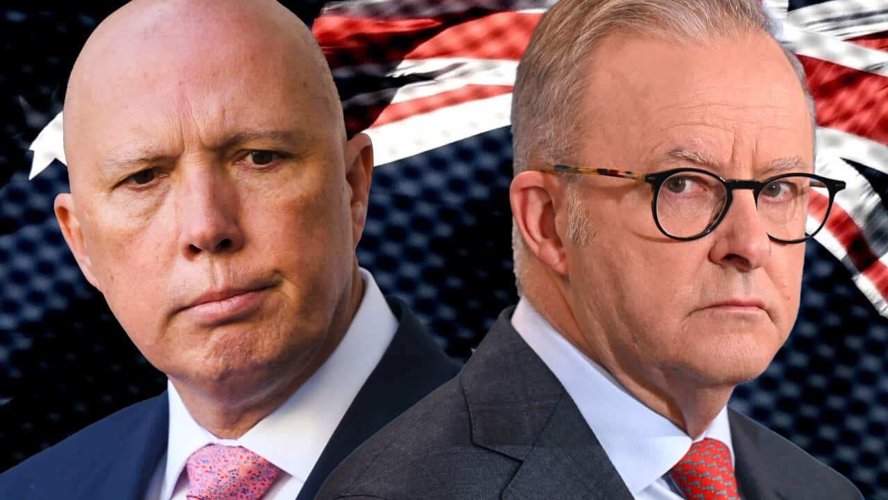 ELECTION25 GRAPHICS