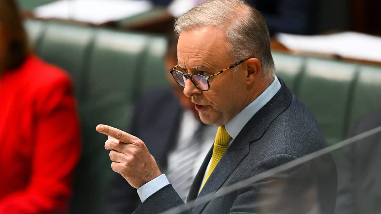 Prime Minister Anthony Albanese points his finger in Question Time