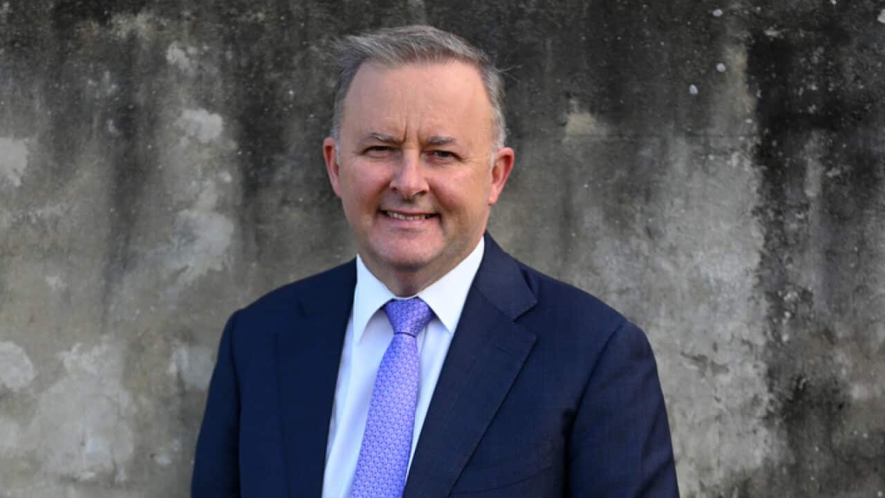 Labor leader Anthony Albanese.