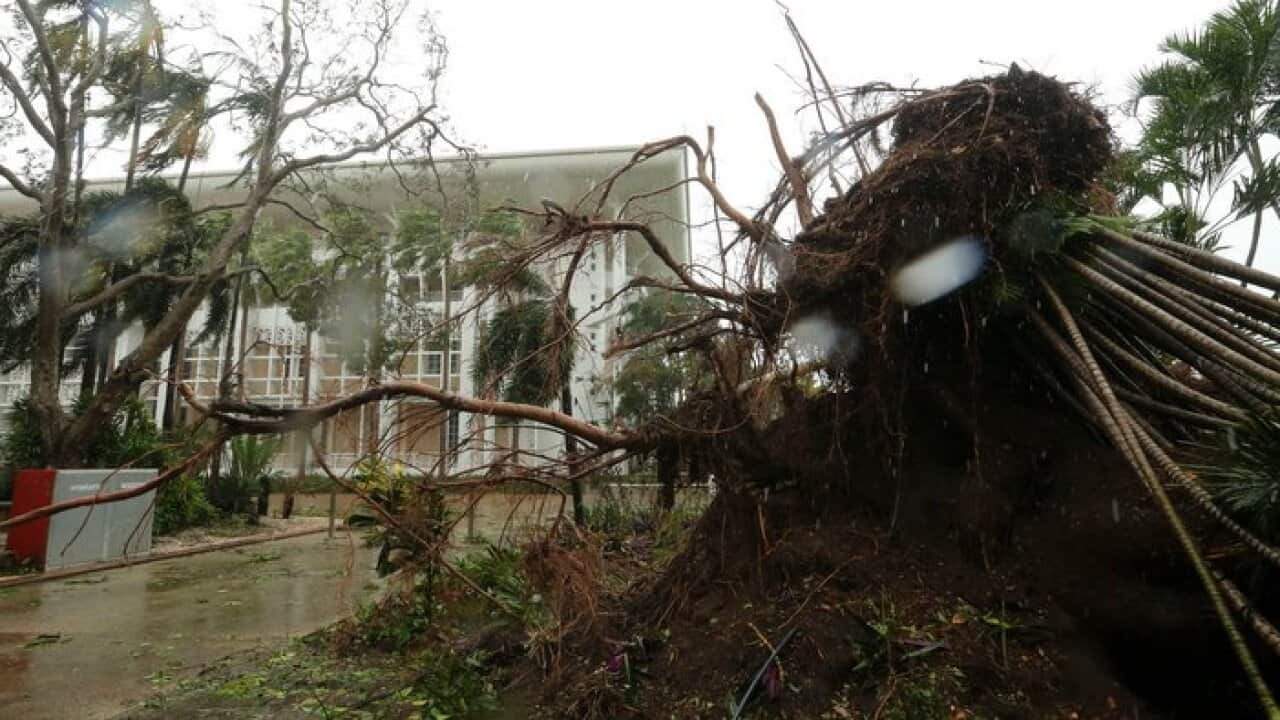 NT Parliament House in The aftermath of Tropical Cyclone Marcus after it hit Darwin's CBD in Darwin, Saturday, March 17, 2018.
