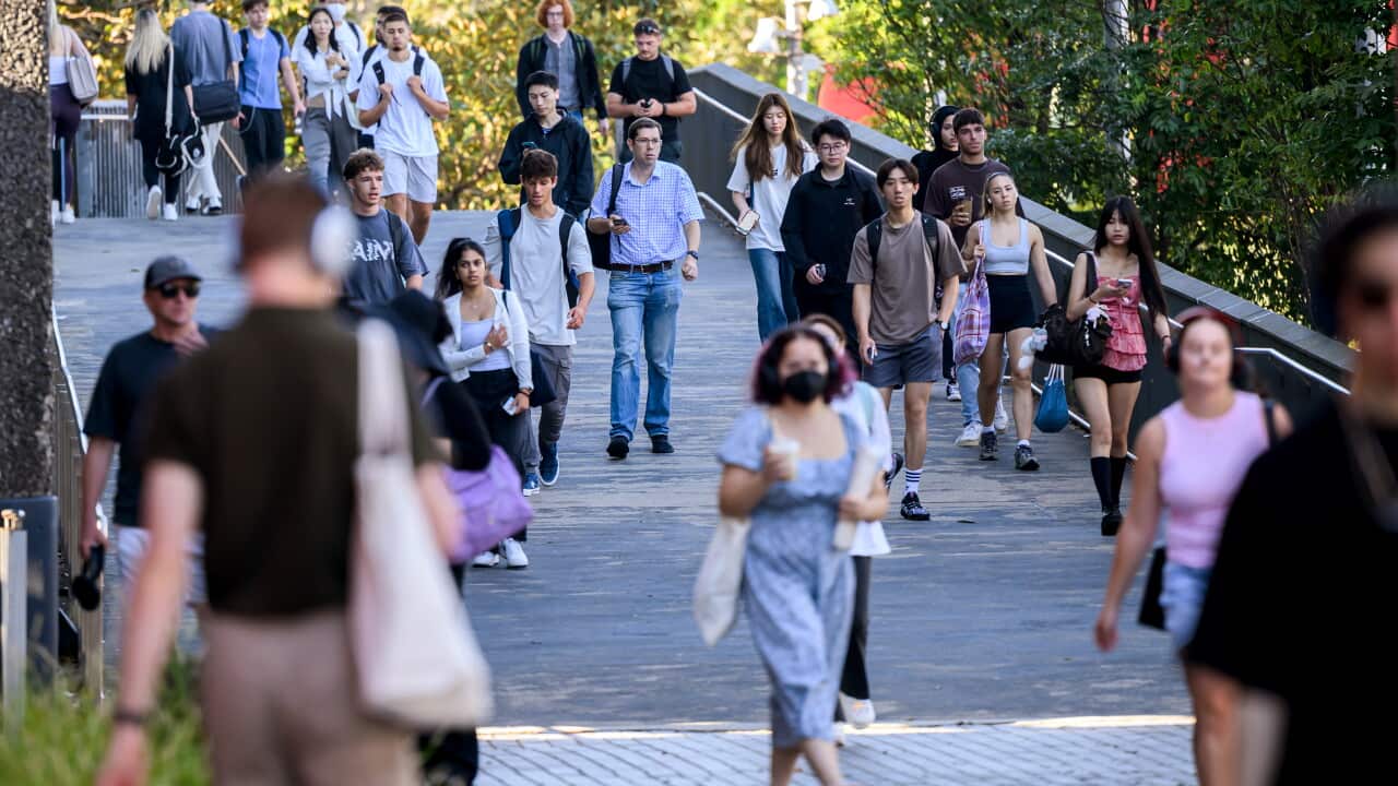 University students collect on a university campus.