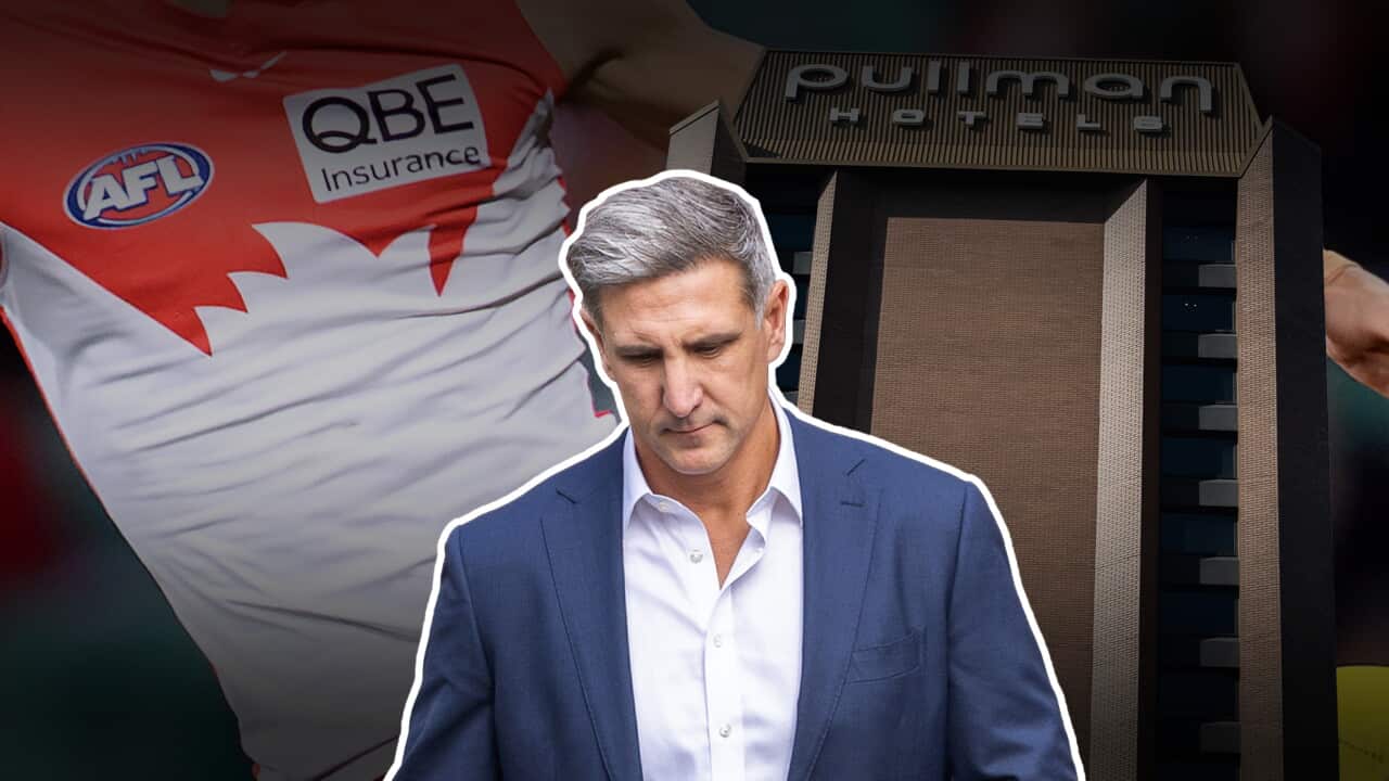 SWANS GRAPHIC