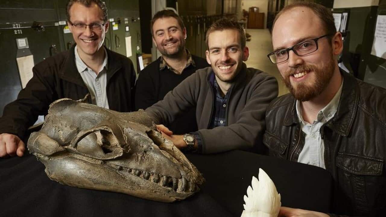 A team of palaeontologists from Museums Victoria and Monash University