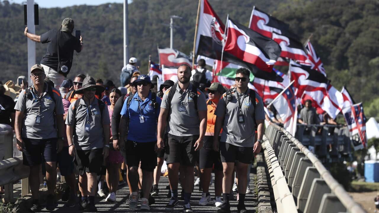 A group of Maori protesters cross the Waitangi bridge, northern New Zealand for Waitangi Day celebrations.
