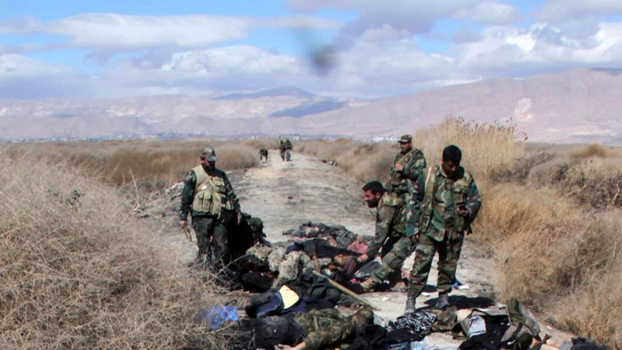 Bodies of alleged Syrian fighters killed by government forces