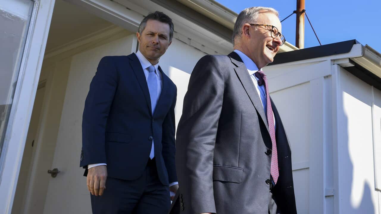 آنتونی آلبانیزی نخست وزیر استرالیا