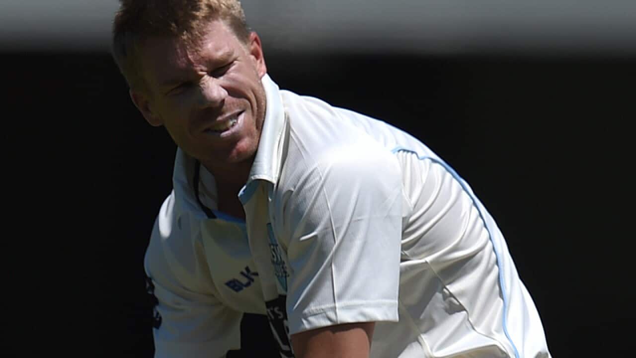 Australian Test vice-captain David Warner