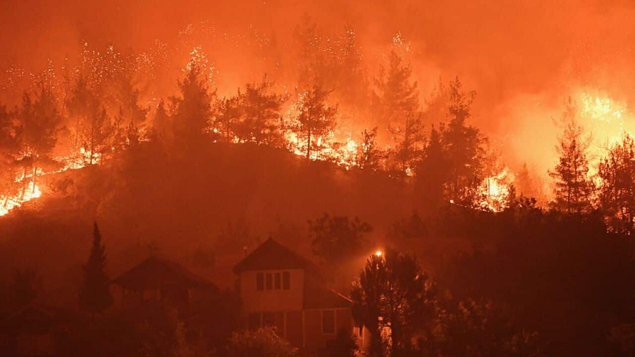 Firefighting efforts continue amid ongoing wildfires in Turkiye's Karabuk