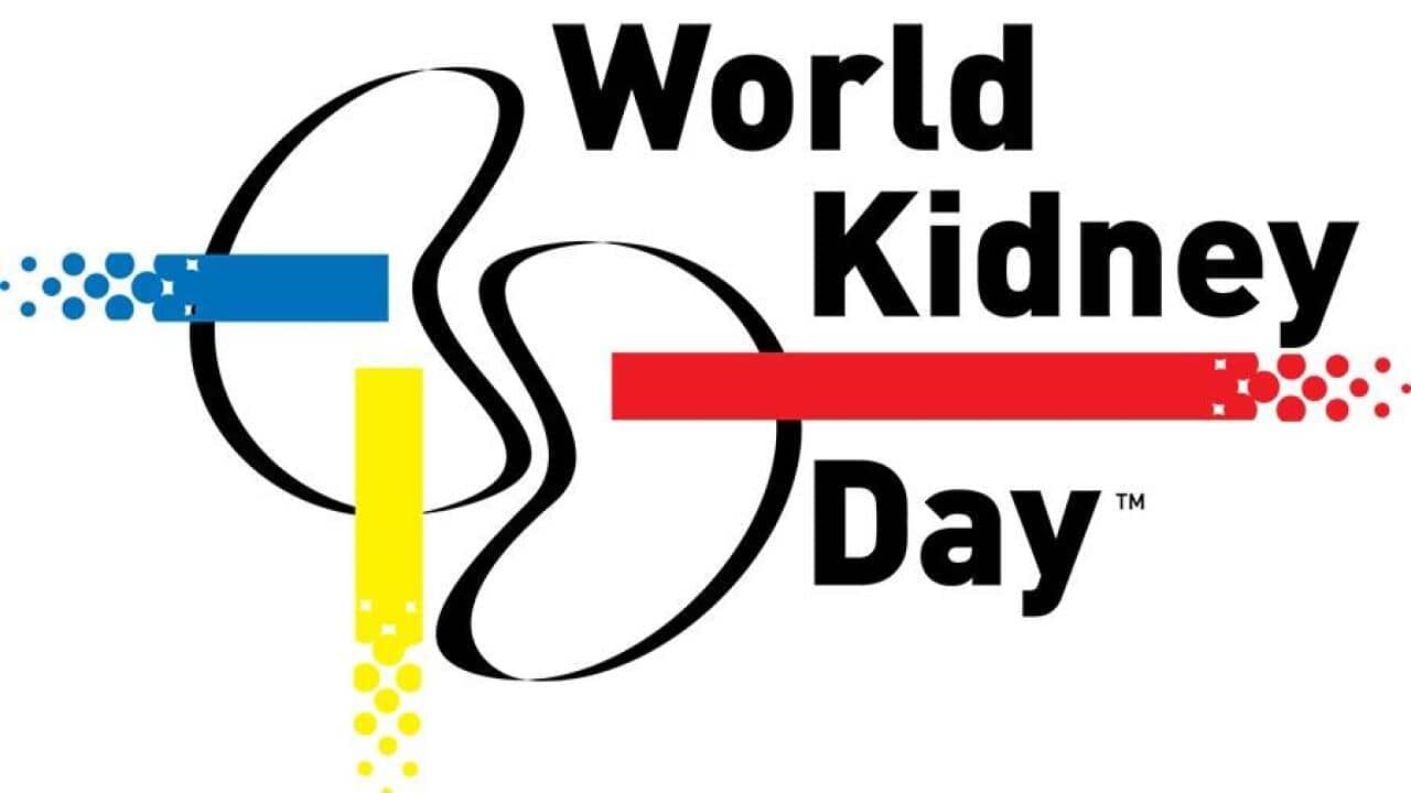 World Kidney Day