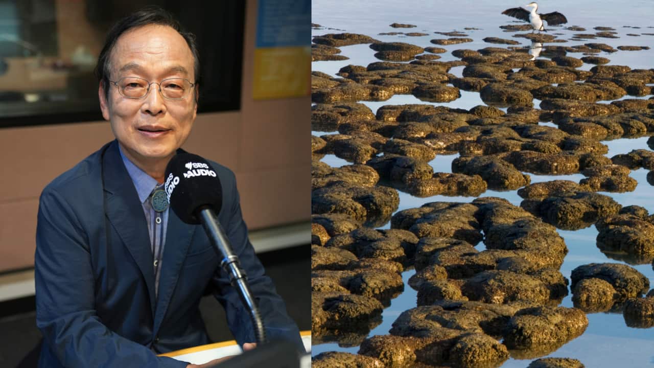 Image for read more article ''