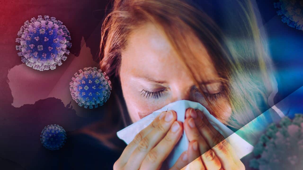 FLU HEADER.jpg