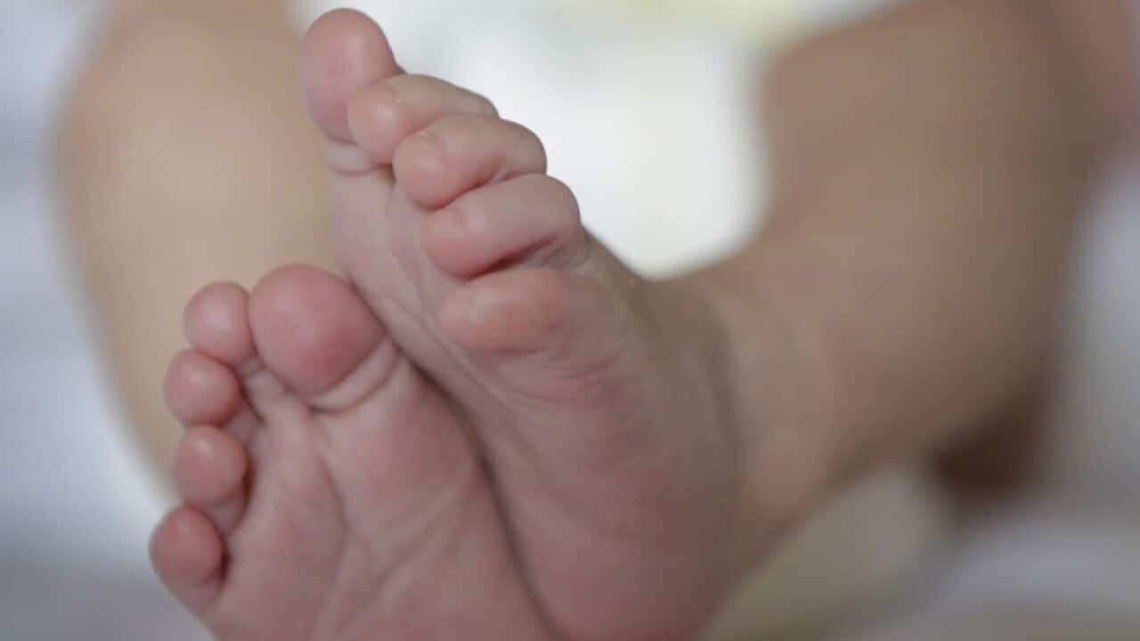 A newborn baby