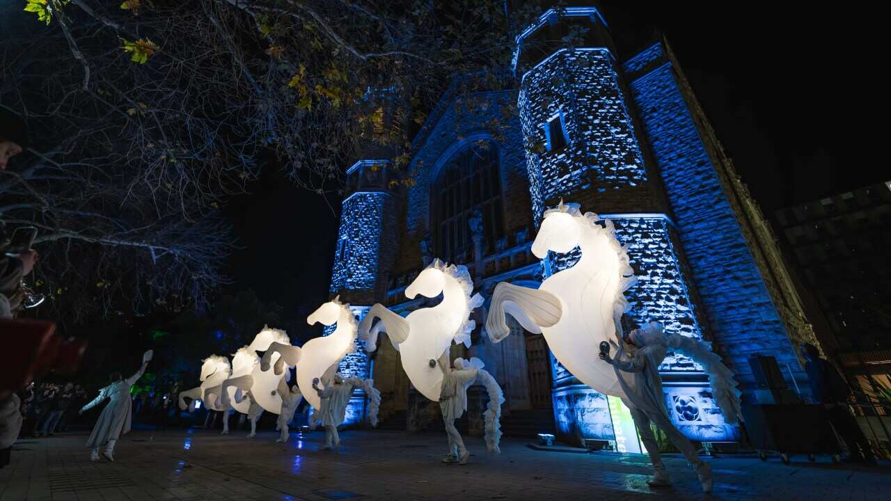 TLA03959-DxO_DeepPRIME XD2s_XD.jpg