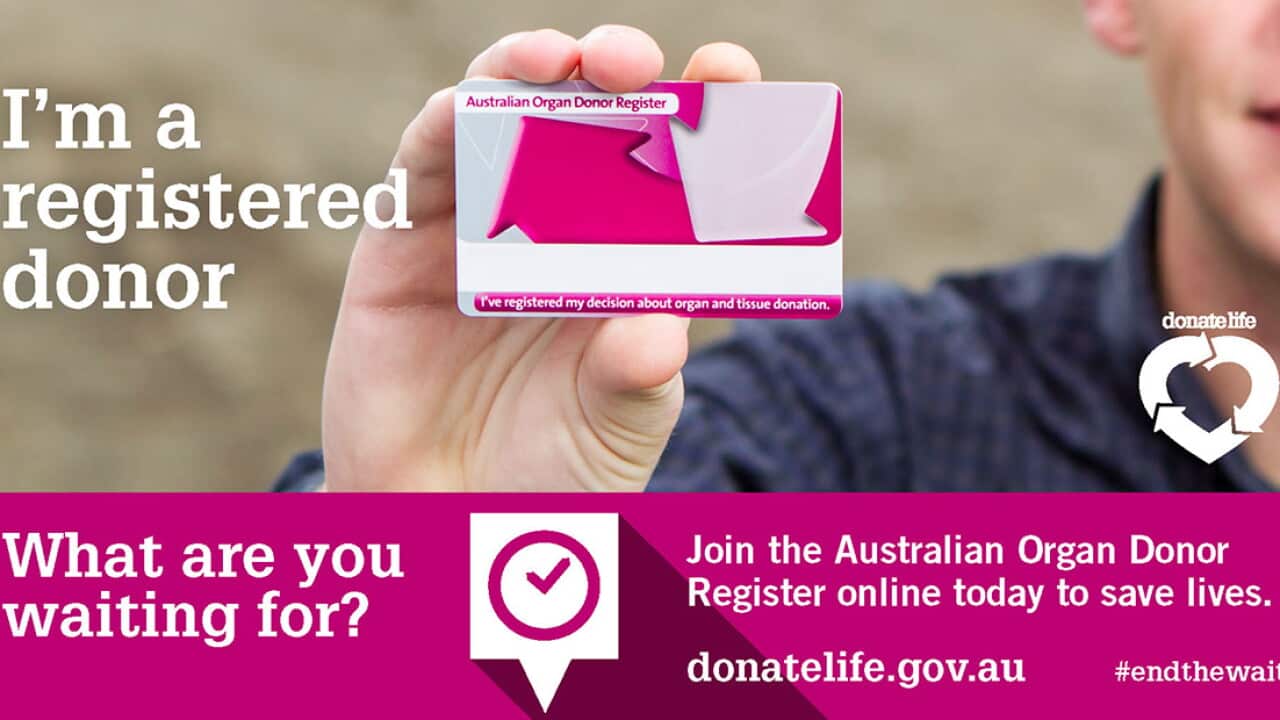Donate Life - Organ Donor