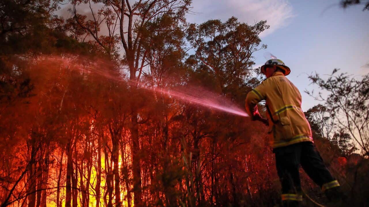 A firefighter directing a hose towards a bushfire.
