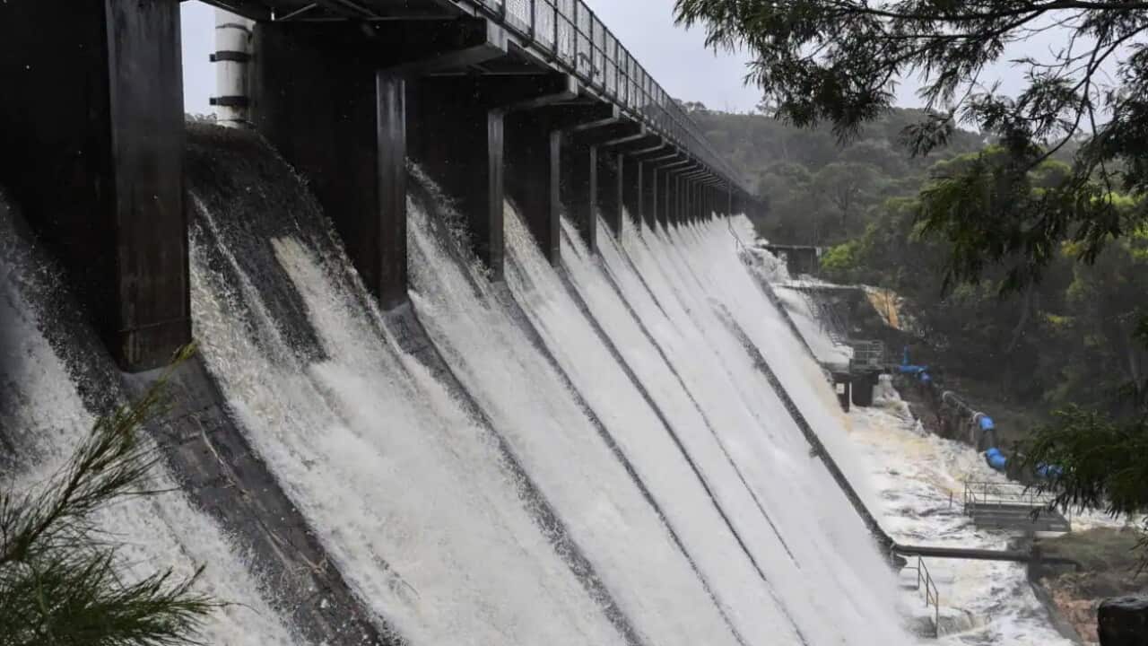 Water overflowing at Manly Dam on Sydney's Northern Beaches, threatening homes on 8 March, 2022