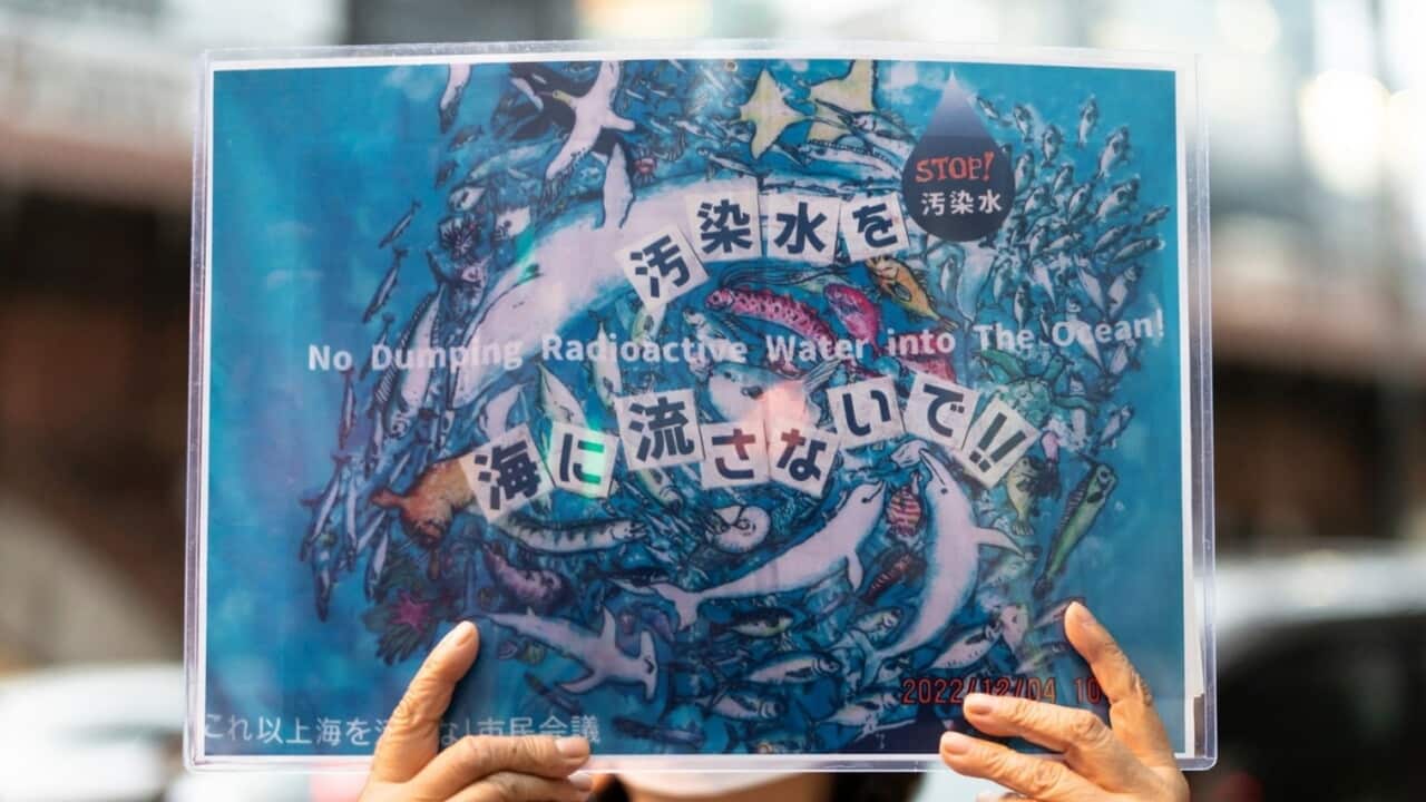japan.jpg