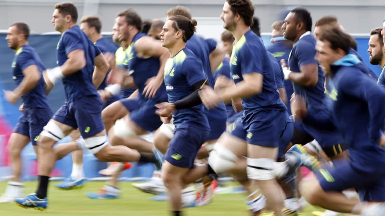 Australian rugby players during a training session