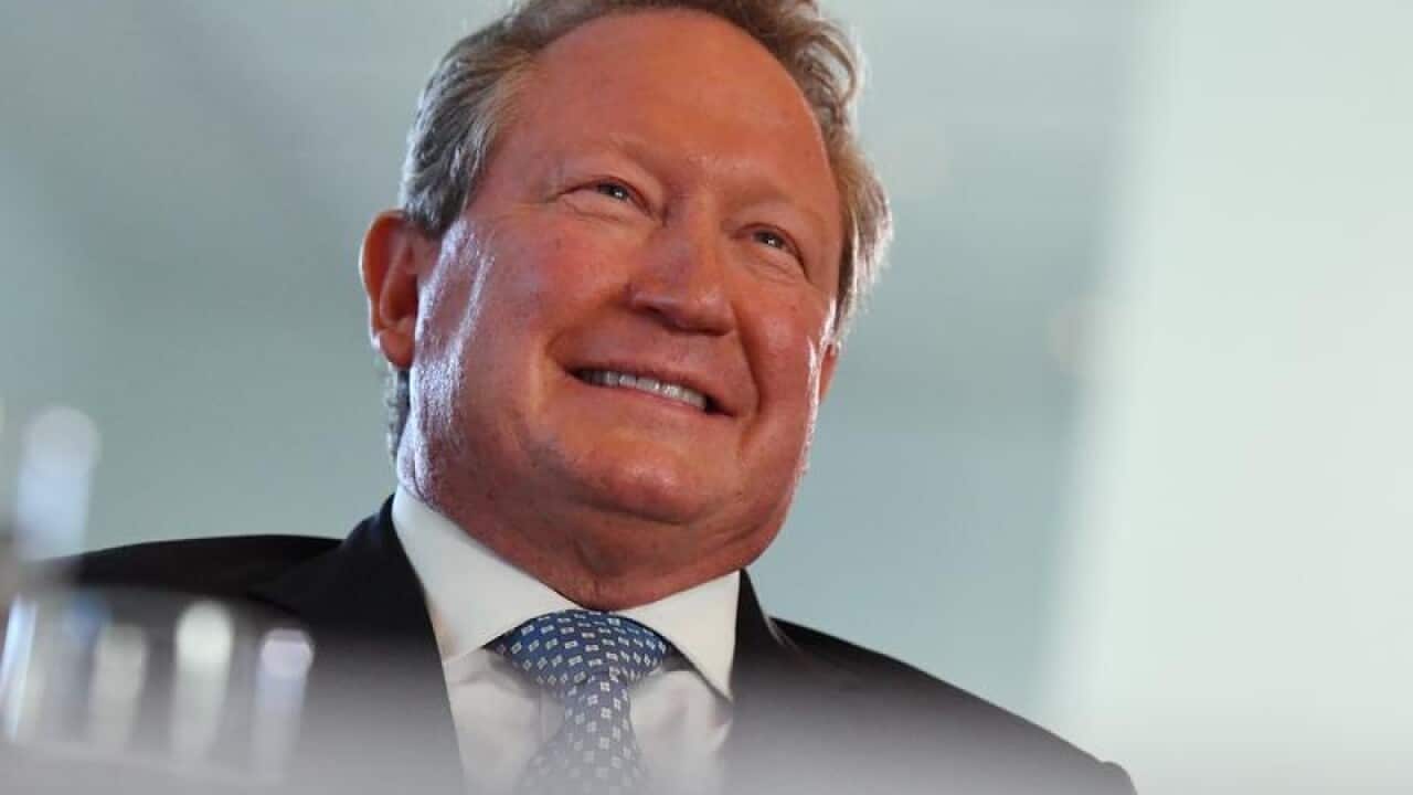 Fortescue Metals Group CEO and philanthropist Andrew 'Twiggy' Forrest