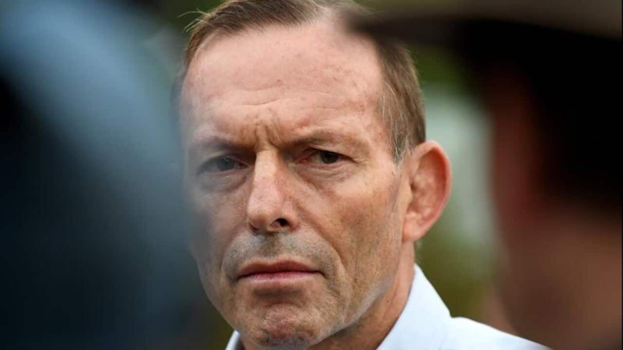 File Image of Tony Abbott