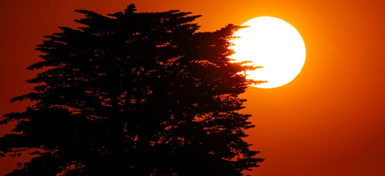 El Niño’s Looming Grip: Australia Braces for a Season of Extremes