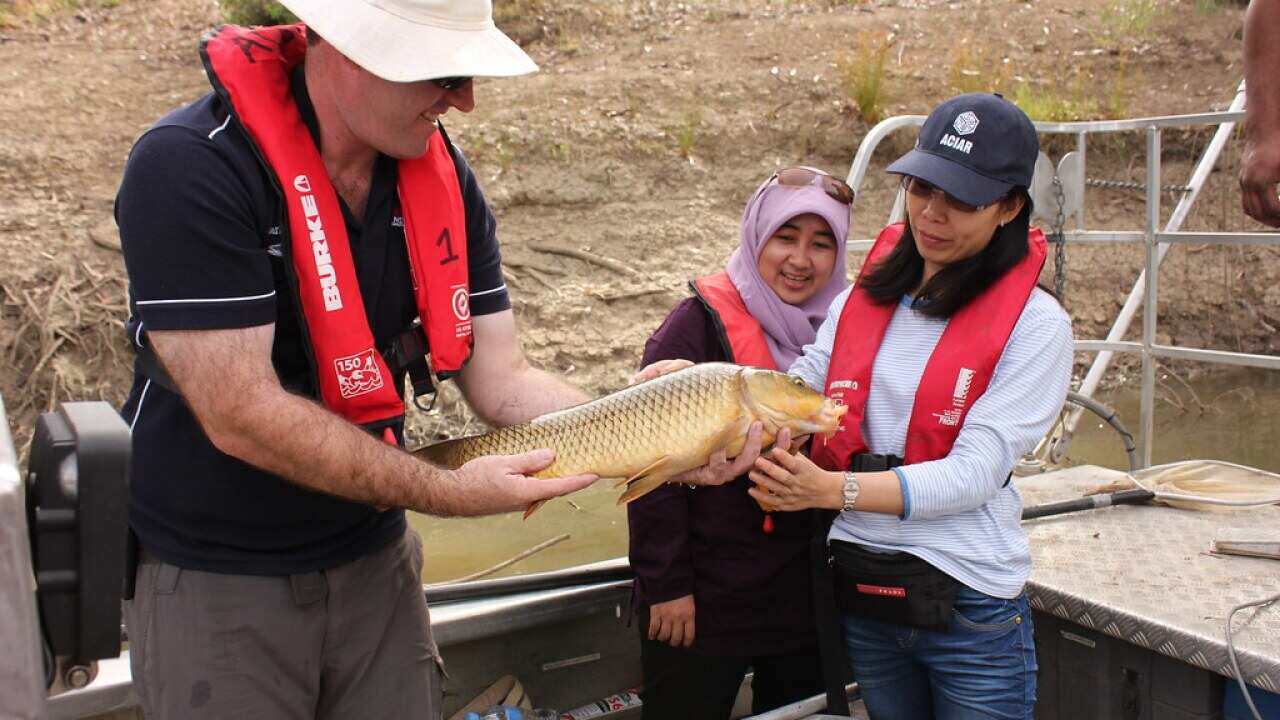 ALT OzInd research. A visit to Murrumbidgee.