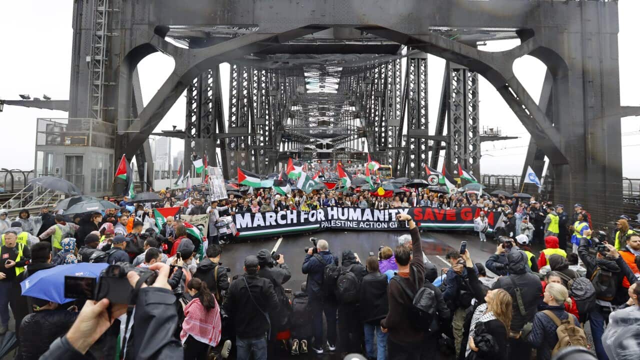 Harbour Bridge March for Gaza in Sydney - 03 Aug 2025
