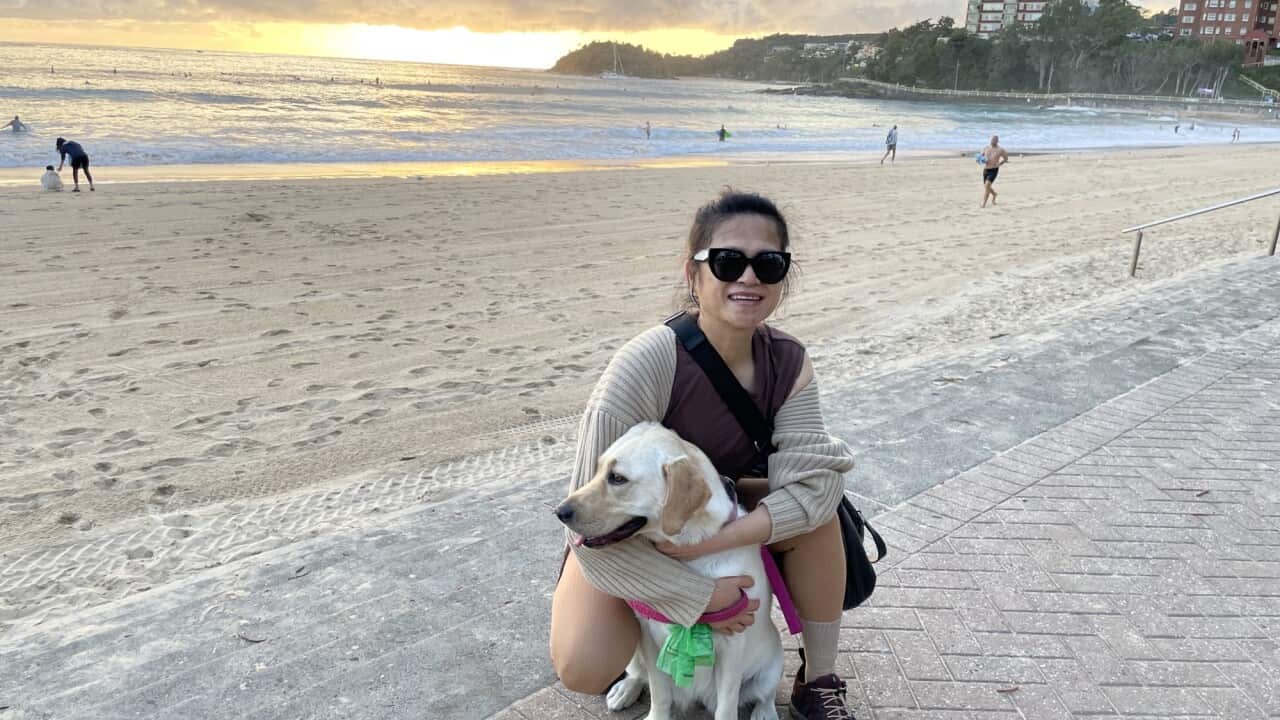 Image for read more article 'READ MORE'