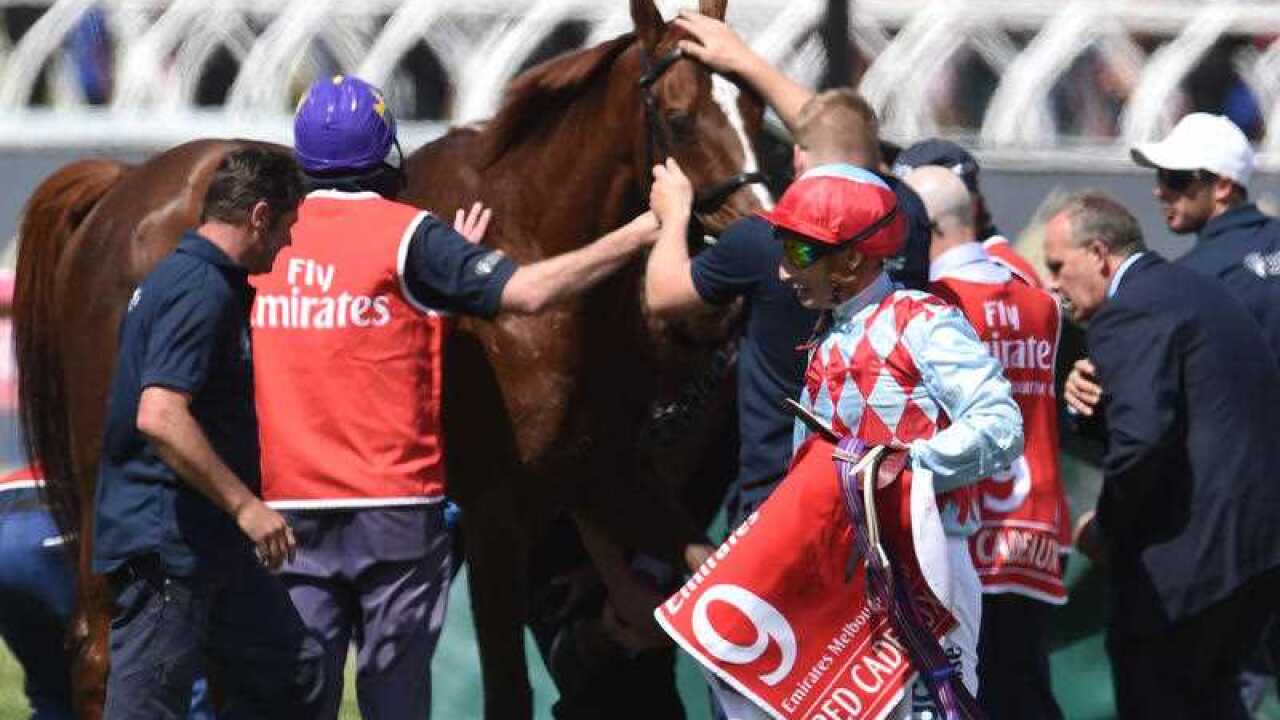Jockey Gerald Mosse walks past Red Cadeaux as it fails to finish the Melbourne Cup.