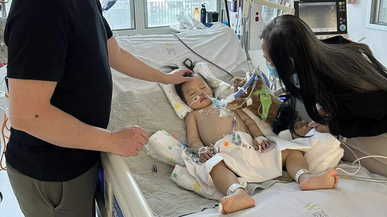 Image for read more article ''