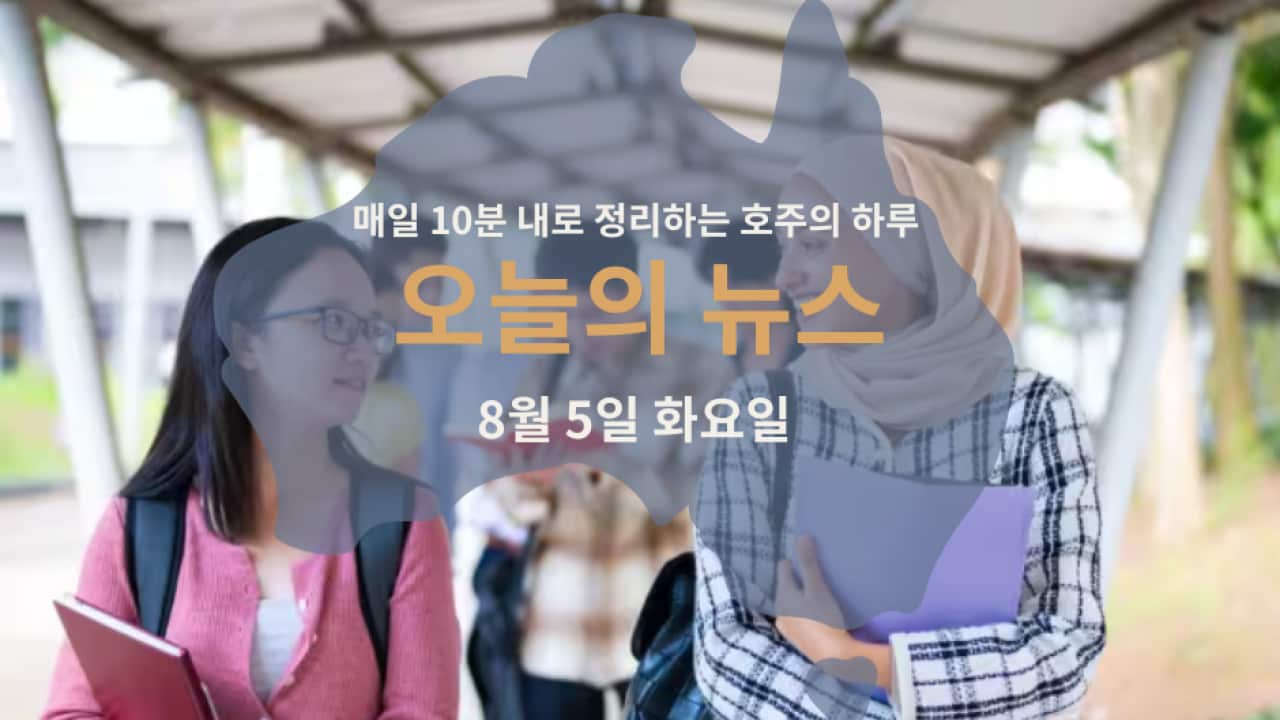 050625 (5).png