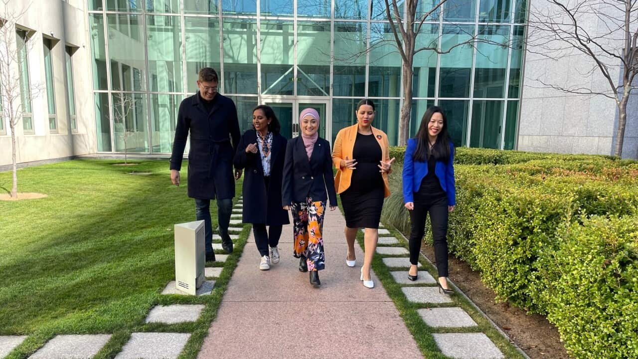 The highest multicultural representation in Australian history, from the new labour parliament