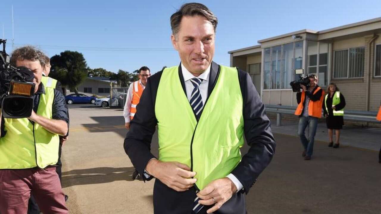 Opposition defence spokesman Richard Marles
