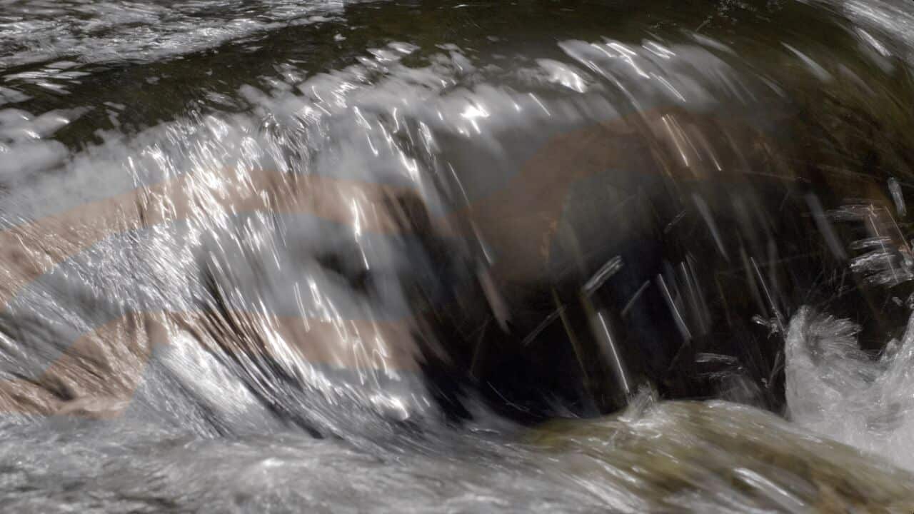 Image for read more article 'Potrebbe interessarti anche:'