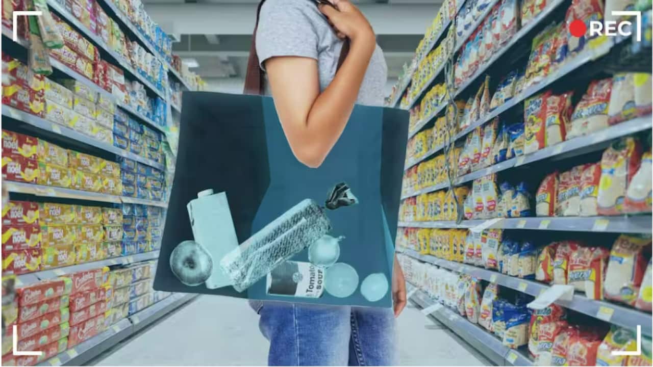 Sara.png